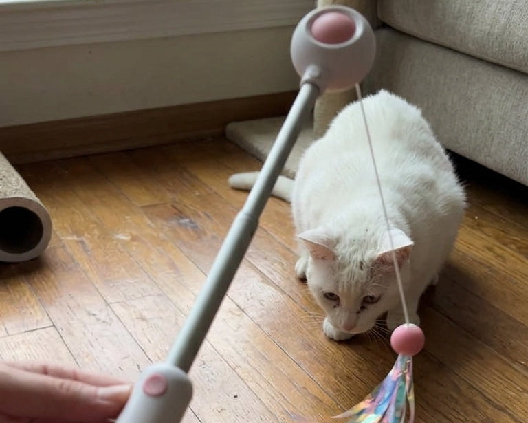 Canne à Plumes Rétractable pour Chat – Jouet Interactif avec Tête Interchangeable