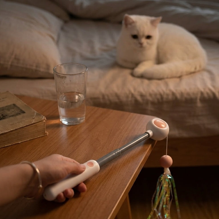 Canne à Plumes Rétractable pour Chat – Jouet Interactif avec Tête Interchangeable