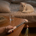 Canne à Plumes Rétractable pour Chat – Jouet Interactif avec Tête Interchangeable