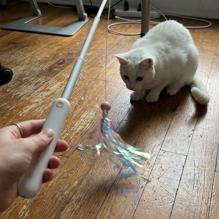 Canne à Plumes Rétractable pour Chat – Jouet Interactif avec Tête Interchangeable