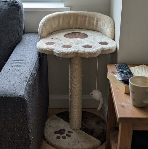 Arbre à Chat Design avec Griffoir Sisal & Jouet Suspendu