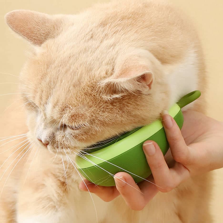 Brosse à Poils pour Chat et Chien – Nettoyage Facile