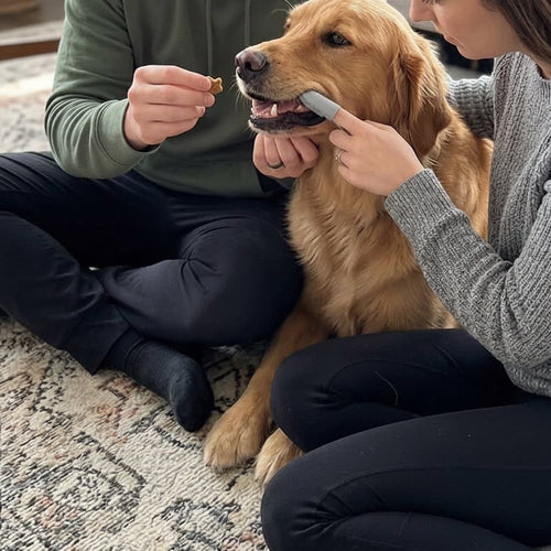 Finger Toothbrush for Dogs and Cats – Oral Hygiene