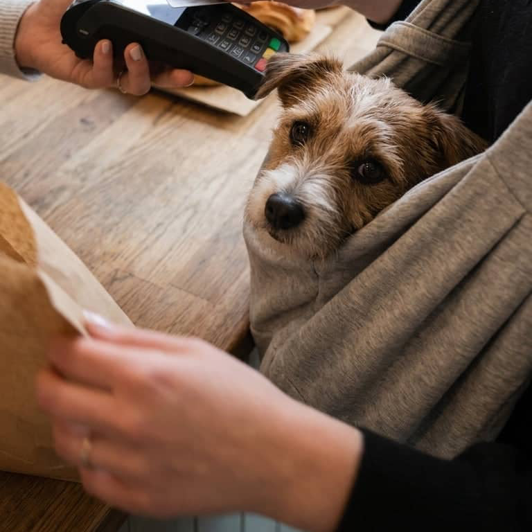 Sac de Transport Bandoulière pour Chien et Chat – Coton Réversible