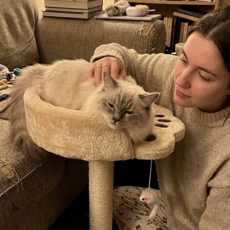 Arbre à Chat Design avec Griffoir Sisal & Jouet Suspendu