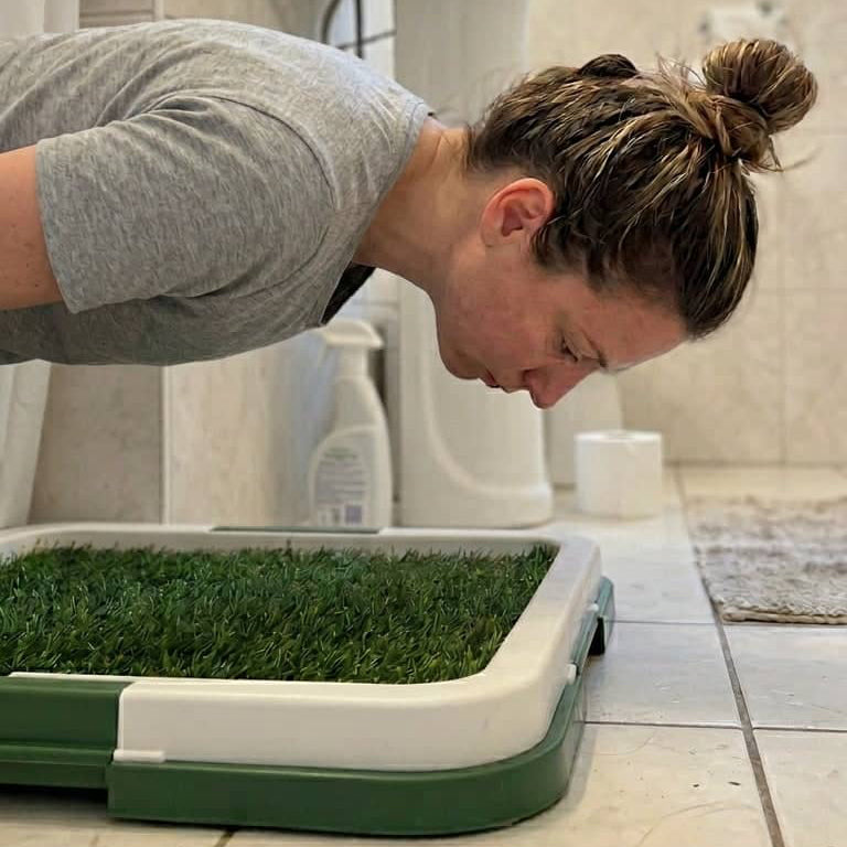 Hundetoilette für Welpen – Wiederverwendbarer Kunstrasen