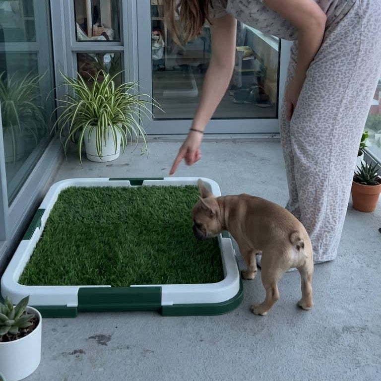Tapis Toilette Éducateur pour Chien – Gazon Synthétique Réutilisable