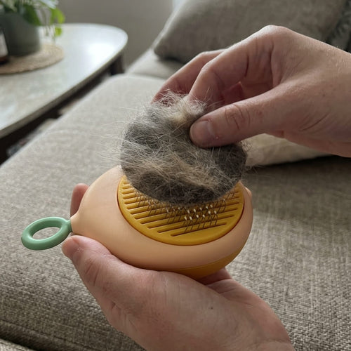 Brosse à Poils pour Chat et Chien – Nettoyage Facile